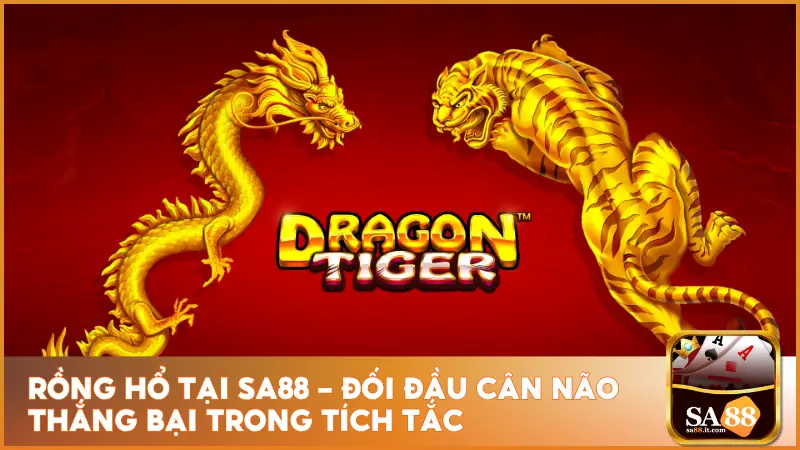 Rồng Hổ Tại sa88 - Đối Đầu Cân Não Thắng Bại Trong Tích Tắc